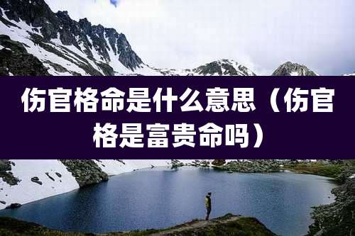 伤官格命是什么意思(伤官格是富贵命吗)