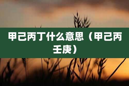 甲己丙丁什么意思（甲己丙壬庚）