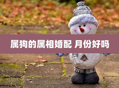 属狗的属相婚配 月份好吗