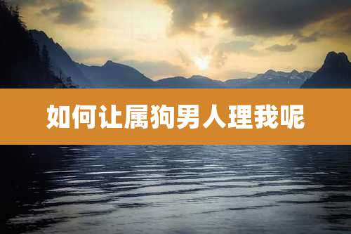 如何让属狗男人理我呢