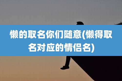 懒的取名你们随意(懒得取名对应的情侣名)