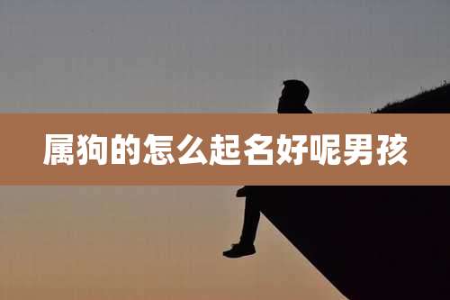 属狗的怎么起名好呢男孩