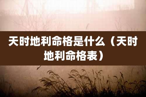 天时地利命格是什么(天时地利命格表)