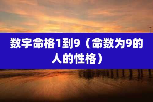 数字命格1到9（命数为9的人的性格）