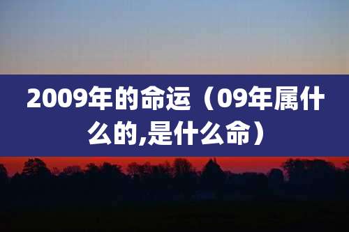 2009年的命运（09年属什么的,是什么命）