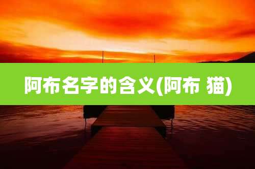 阿布名字的含义(阿布 猫)