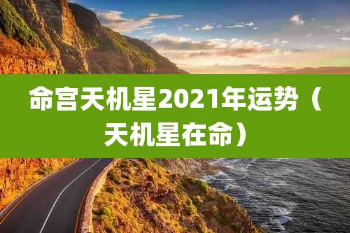 命宫天机星2021年运势(天机星在命)