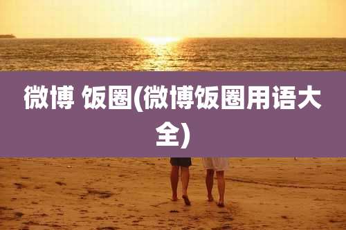 微博 饭圈(微博饭圈用语大全)