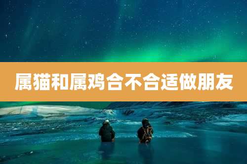 属猫和属鸡合不合适做朋友