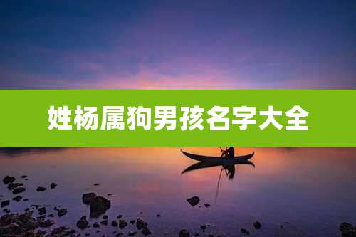 姓杨属狗男孩名字大全