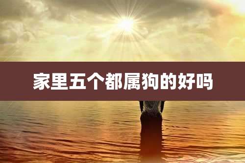 家里五个都属狗的好吗