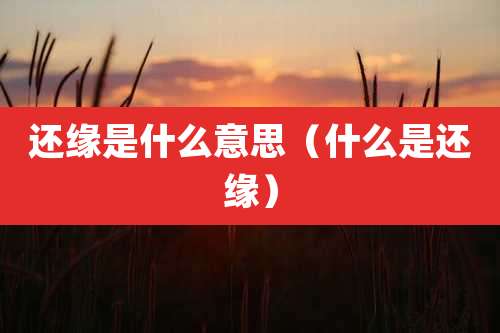还缘是什么意思(什么是还缘)