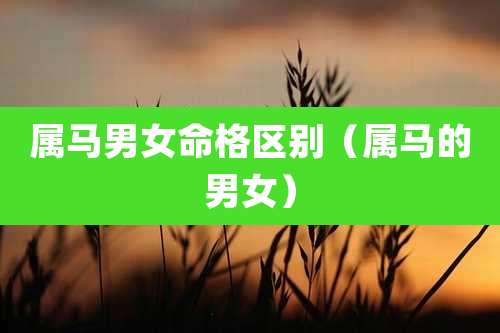 属马男女命格区别（属马的男女）