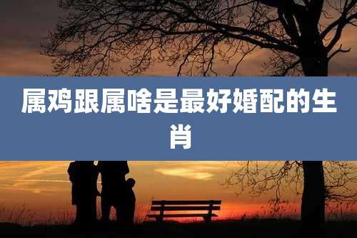 属鸡跟属啥是最好婚配的生肖