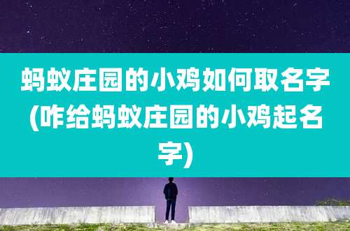 蚂蚁庄园的小鸡如何取名字(咋给蚂蚁庄园的小鸡起名字)