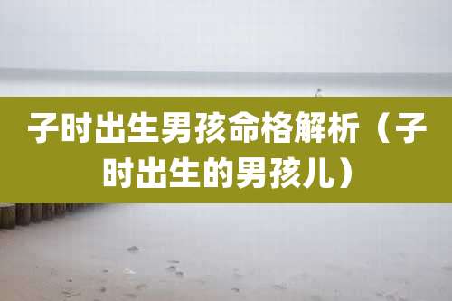 子时出生男孩命格解析（子时出生的男孩儿）