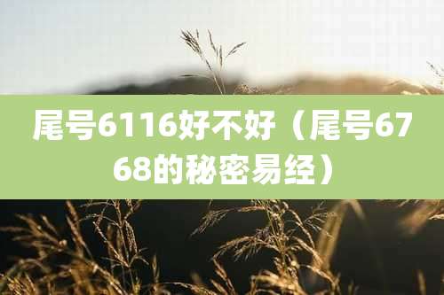 尾号6116好不好（尾号6768的秘密易经）