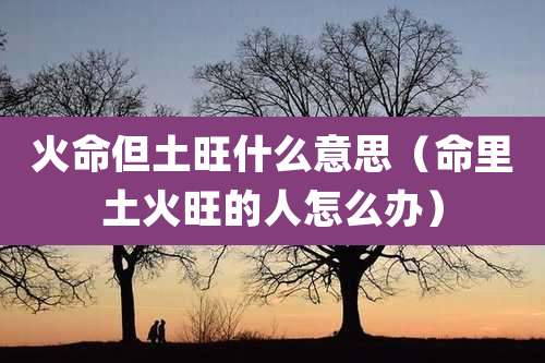 火命但土旺什么意思（命里土火旺的人怎么办）