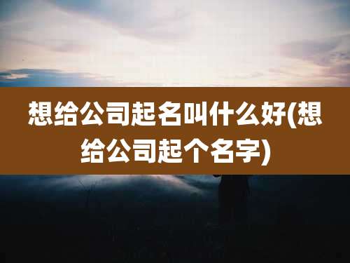 想给公司起名叫什么好(想给公司起个名字)
