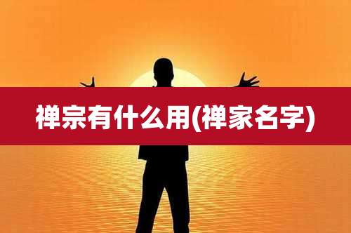 禅宗有什么用(禅家名字)