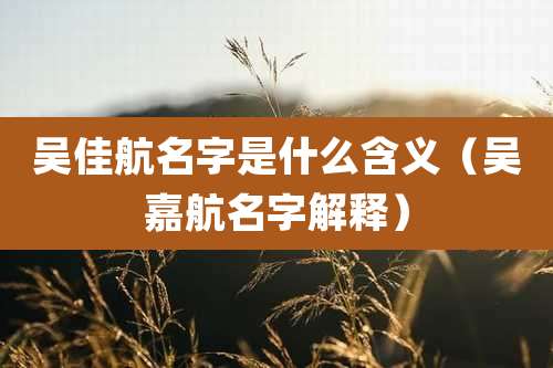 吴佳航名字是什么含义(吴嘉航名字解释)