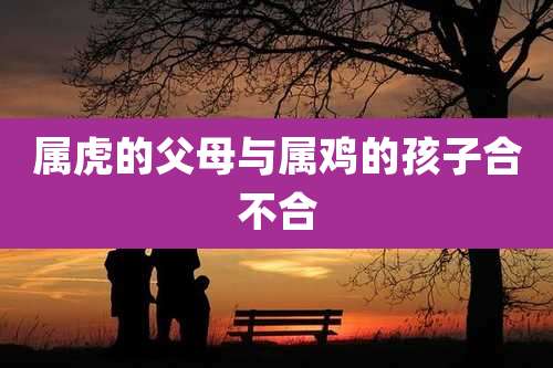 属虎的父母与属鸡的孩子合不合