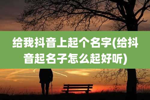 给我抖音上起个名字(给抖音起名子怎么起好听)