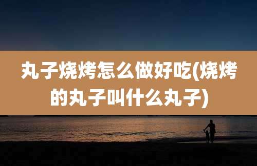 丸子烧烤怎么做好吃(烧烤的丸子叫什么丸子)