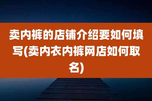 卖内裤的店铺介绍要如何填写(卖内衣内裤网店如何取名)