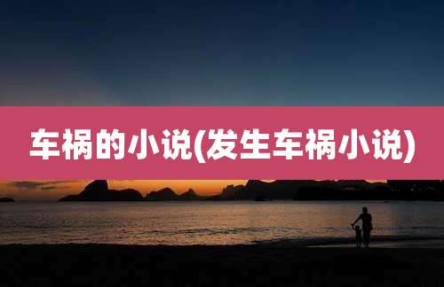 车祸的小说(发生车祸小说)