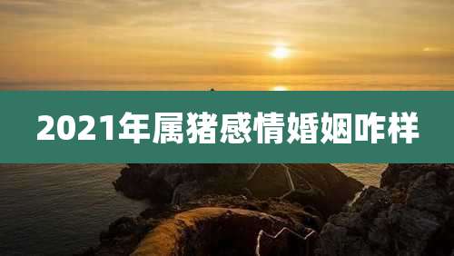 2021年属猪感情婚姻咋样