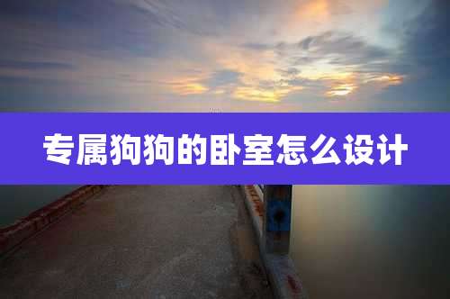 专属狗狗的卧室怎么设计