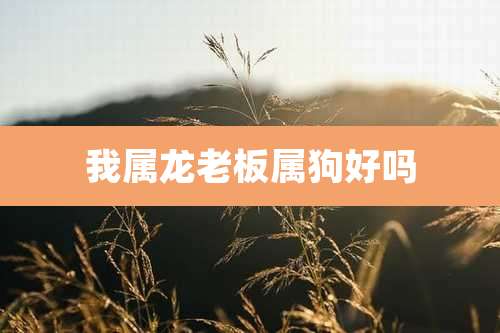 我属龙老板属狗好吗