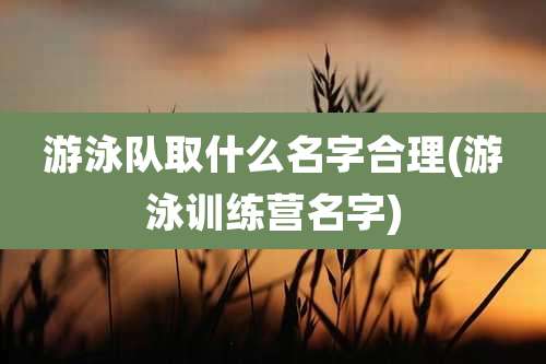 游泳队取什么名字合理(游泳训练营名字)