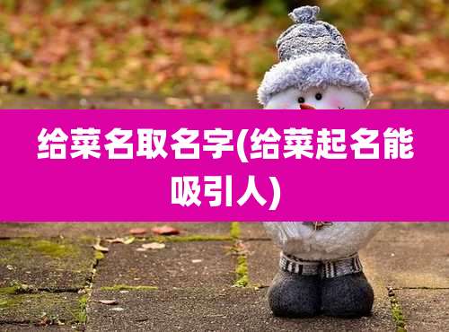 给菜名取名字(给菜起名能吸引人)