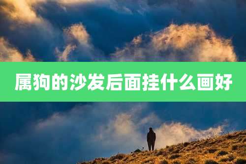 属狗的沙发后面挂什么画好