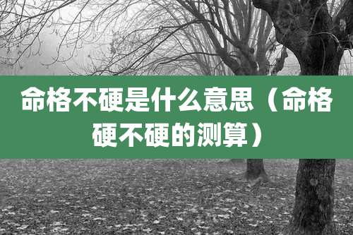 命格不硬是什么意思(命格硬不硬的测算)