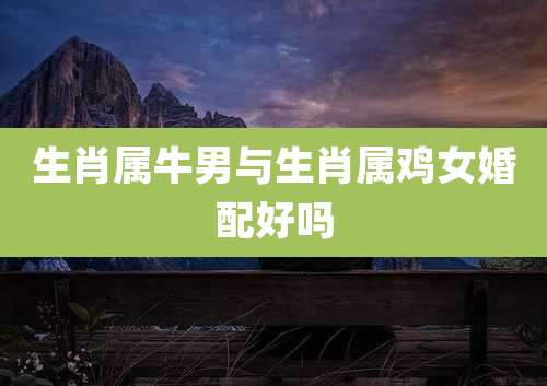 生肖属牛男与生肖属鸡女婚配好吗