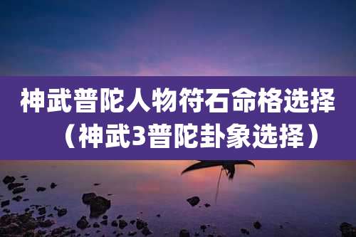 神武普陀人物符石命格选择（神武3普陀卦象选择）