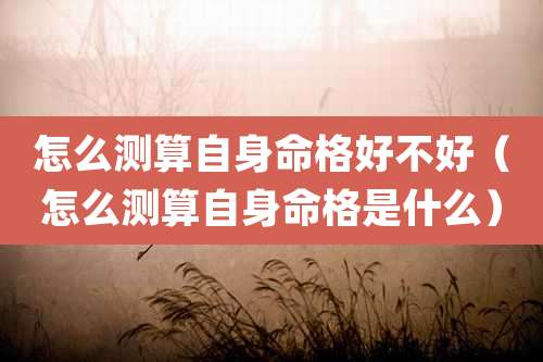 怎么测算自身命格好不好（怎么测算自身命格是什么）