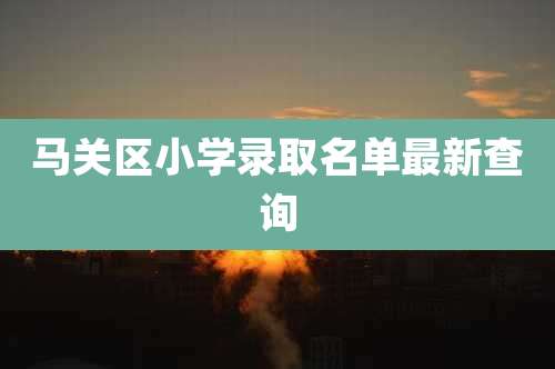 马关区小学录取名单最新查询