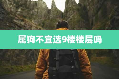 属狗不宜选9楼楼层吗