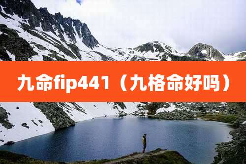 九命fip441(九格命好吗)