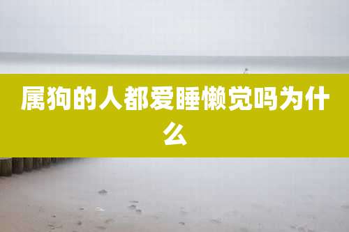 属狗的人都爱睡懒觉吗为什么