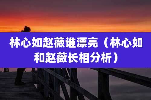 林心如赵薇谁漂亮(林心如和赵薇长相分析)