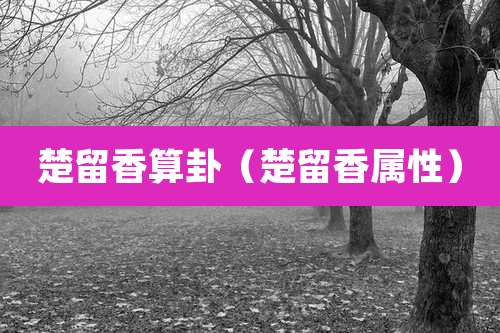 楚留香算卦（楚留香属性）