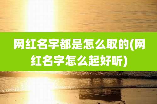 网红名字都是怎么取的(网红名字怎么起好听)