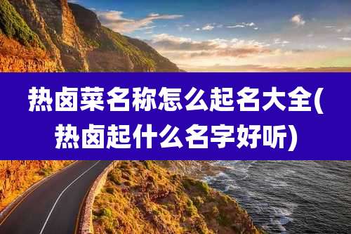 热卤菜名称怎么起名大全(热卤起什么名字好听)