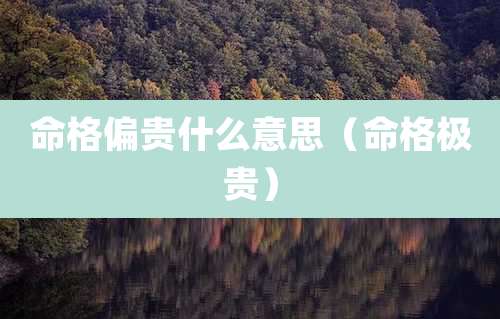 命格偏贵什么意思（命格极贵）