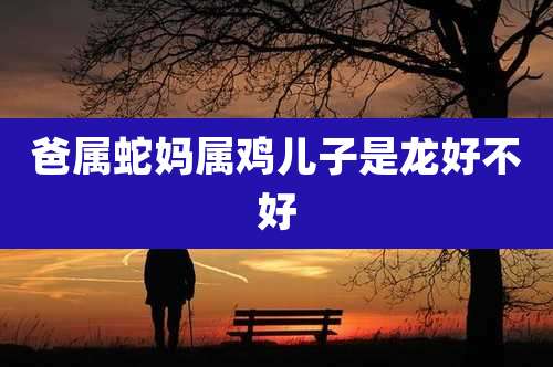 爸属蛇妈属鸡儿子是龙好不好